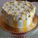TORTA